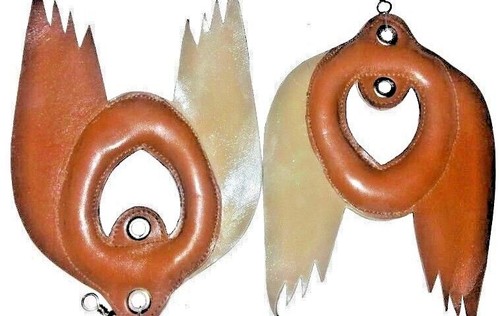 Fauconnerie oiseau leurre - oiseau,