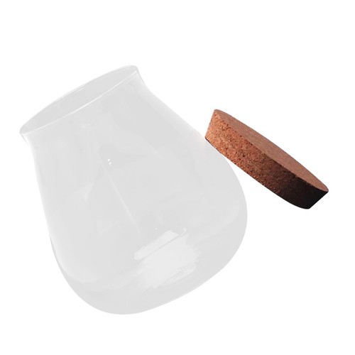 Bocal terrarium verre pour - terrarium,