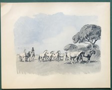 Illustration en couleurs 