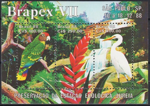 Brésil 1988 oiseaux - brésil,