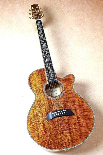 Takamine dmp100k n - /, 100