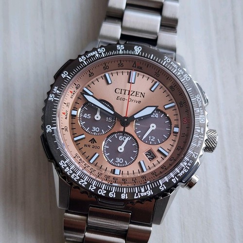 Rare citizen promaster - rare,