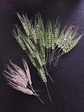 28 EPIS DE BLE  POUR DECO  TABLE DE FETES, GARNIR TULLES DE DRAGEES /COMPOSITION