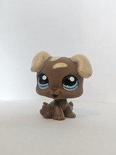 Authentic littlest pet shop - authentic,