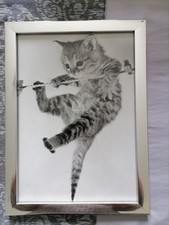 Cadre photo chat Noir et Blanc