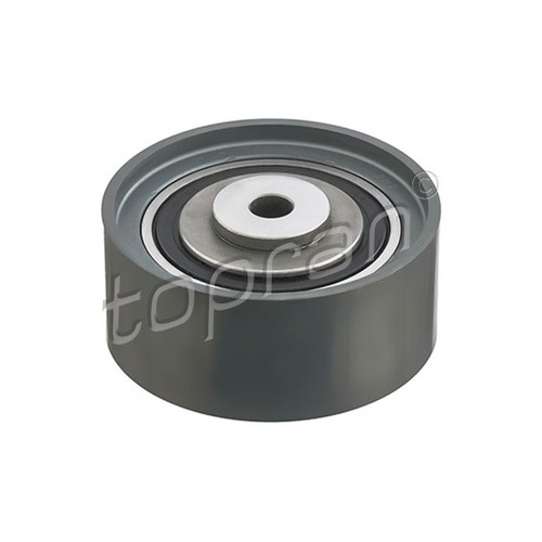 Galet tensionor timing belt