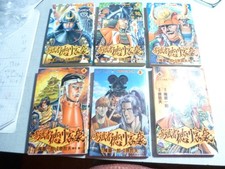 Kagemusha Tokugawa Ieyasu - 6