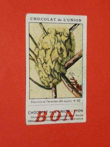 Chromo 1920 1930 - chromo, chocolat