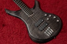 Vigier Guitars Arpege V4ECC