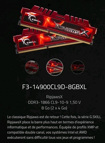 Kit ram skill - ram, ripjaws