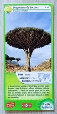 CARTE MERVEILLES DU MONDE -
