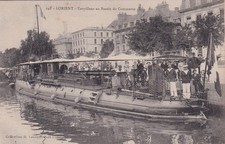 Carte postale postcard - 🦬carte, /