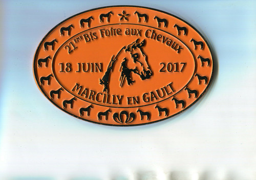 Plaque métal doutre lion - métal,