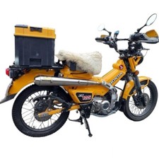 Tuyau d'échappement simple