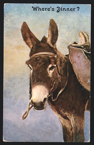 Carte postale âne avec selle