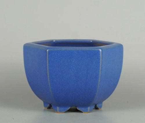 Pot bonsaï japonais - pot,