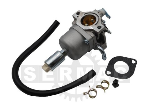Carburateur pour moteur - pour,