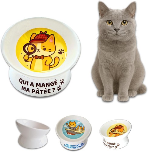 Gamelle humoristique pour chat