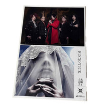 Autocollant BUCK-TICK "soleil