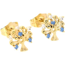 Boucles d'Oreilles -