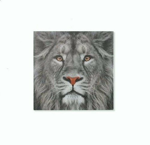 Cadre toile tableau lion - toile,