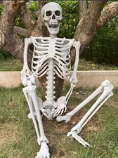Lots de 2 Squelettes Humains