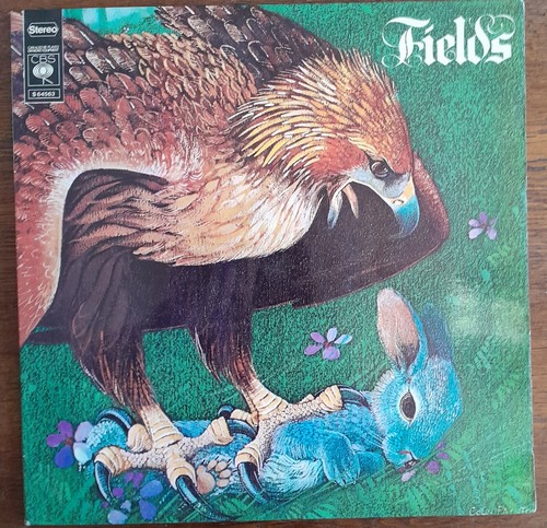 Rare fields k - lp,