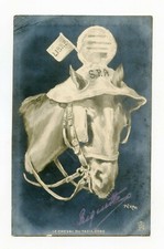 Par Pékan . LE CHEVAL DU TAXIMÈTRE  . Horse . Pferd