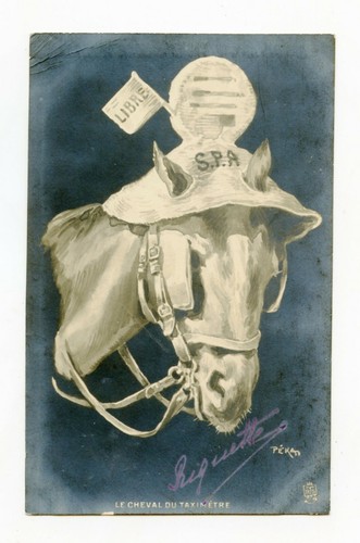 Par pékan cheval du - cheval,