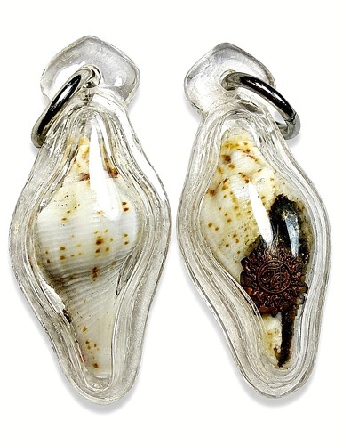 Narai fingerprint conch sacred - fingerprint,