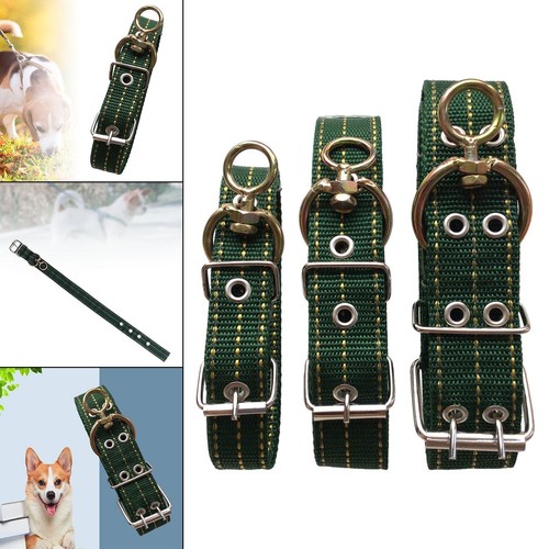 Collier pour chien avec - , boucle