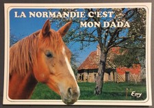 Carte postale Humoristique - LA NORMANDIE C'EST MON DADA  (245)