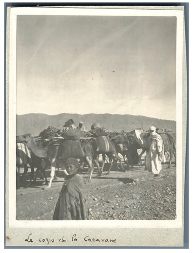 Algérie corps de - algérie,, le