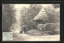 CPA Seignelay, La Hutte Gauloise, Vur prise de Parc 1905 