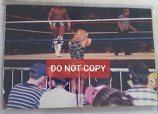 Sunny Tammy Lynn Sytch HOT Dress 4x6 Candid Photo Original Vintage WWF Wrestling