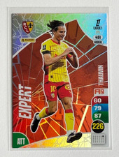 PANINI ADRENALYN LIGUE 1