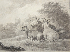 CHÈVRES - Gravure anglaise