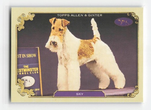 2024 topps allen ginter - topps, &