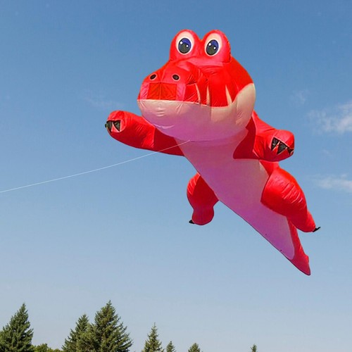 Cerf volant professionnel - cerf-volant,