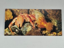 Nestlé MERVEILLES DU MONDE