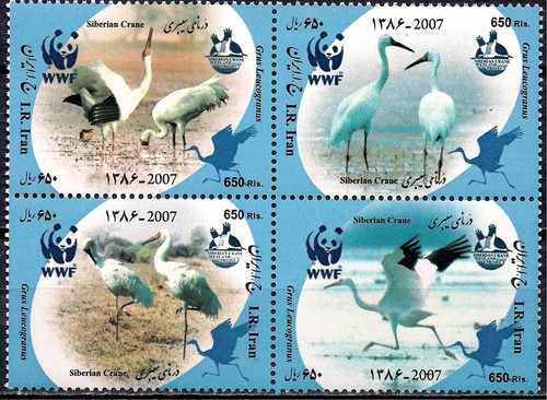 Asie 2007 wwf oiseaux - wwf,