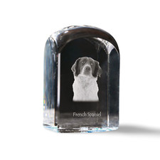 Français Épagneul, Epagneul