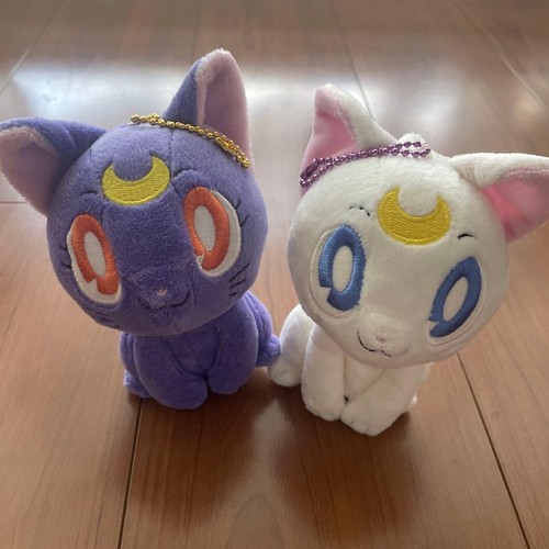 Sailor moon luna artemis une - moon,