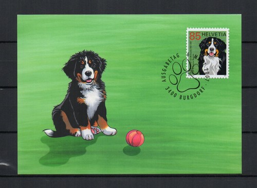 Thématique chiens suisse - -, 1