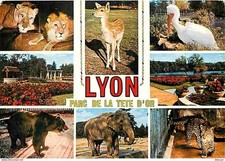Animaux - Lyon - Parc de la