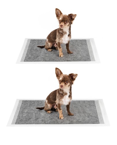 Lionto tapis hygiénique - hygiénique, pour