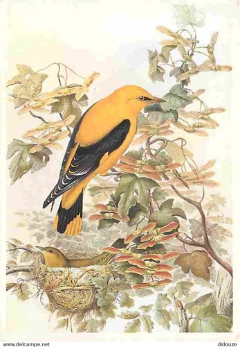 Carte postale animaux - -,