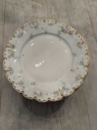 Theodore haviland limoges - 14,