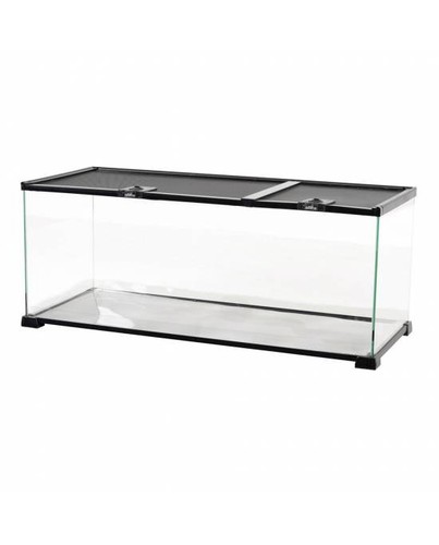 Reptiles planet terrarium - reptiles,