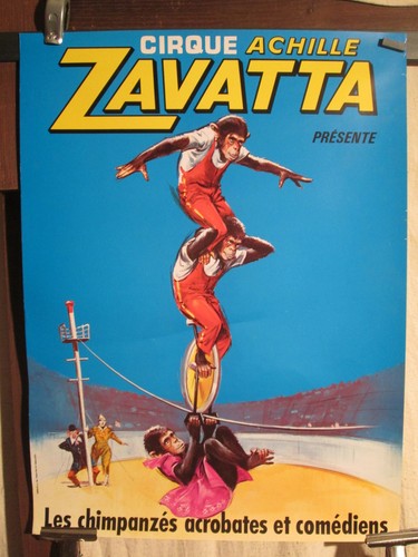 Affiche cirque zavatta - cirque,